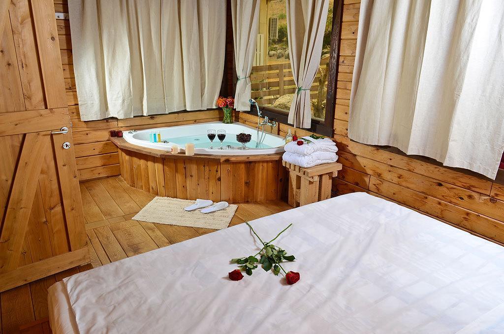 Yagorov Chalet Yavneʼel 部屋 写真