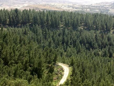 Yagorov Chalet Yavneʼel エクステリア 写真
